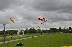 Venice kite festival_0349